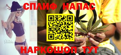 spice Можга