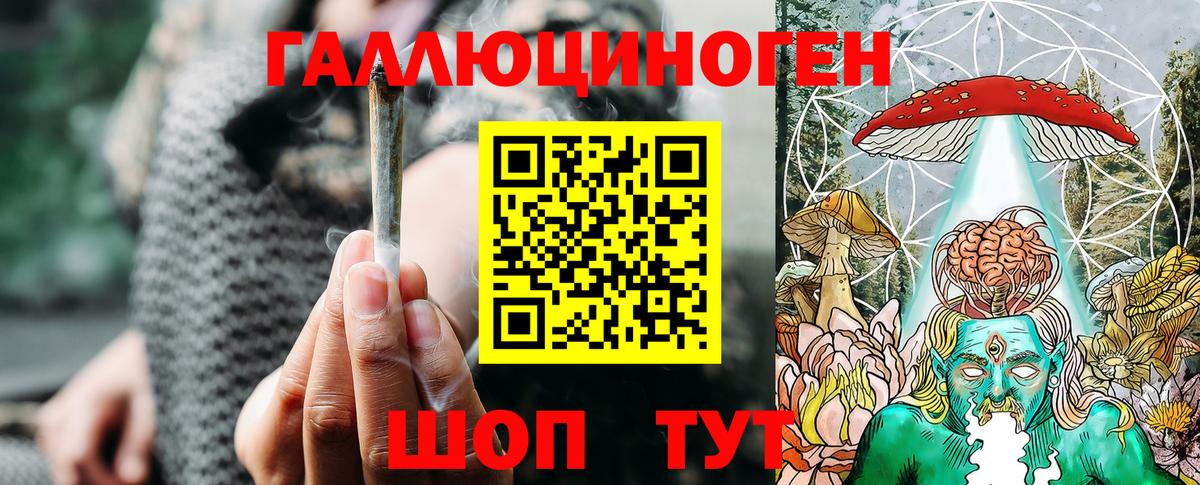 Псилоцибиновые грибы GOLDEN TEACHER Тара